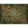 Mage Wars Arena: Playmat - Straywood (EN)