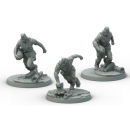 Fallout - Wasteland Warfare: Super Mutants Suiciders (EN)