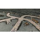 Roads & Rivers (EN)