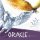 Oracle (DE)
