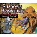 Shadows of Brimstone: Wasteland Terralisk XL-Sized Enemy...