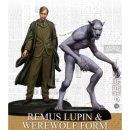 Harry Potter Miniatures Adventure Game: Remus Lupin &...