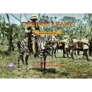 World in Flames: Collectors Edition Territories in Flames...
