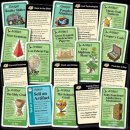 Chrononauts: Missing Artifacts (EN)