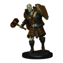 D&D Icons of the Realms: Premium Figures: Male...