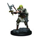 D&D Icons of the Realms: Premium Figures: Human...