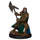 D&D Icons of the Realms: Premium Painted Figure -...