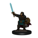 D&D Icons of the Realms: Premium Painted Figure -...