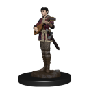 D&D Icons of the Realms: Premium Painted Figure -...