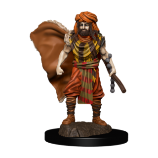 D&D Icons of the Realms: Premium Painted Figure - Human Druid Male (6 Units)