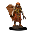 D&D Icons of the Realms: Premium Painted Figure -...