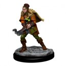 D&D Icons of the Realms: Premium Figures: Human...
