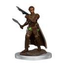 D&D Icons of the Realms: Premium Figures: Female...