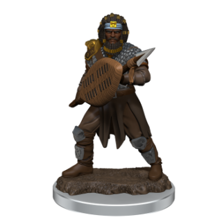 D&D Icons of the Realms: Premium Figures: Male Human Fighter (6 Units)
