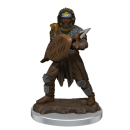 D&D Icons of the Realms: Premium Figures: Male Human...