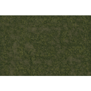 D&D Icons of the Realms: Grasslands Battle Mat