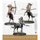 Harry Potter Miniatures Adventure Game: Magorian and...