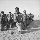 Panzer Grenadier: New Zealand Division (EN)