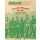 Cactus Throne: The Mexican War of 1862-1867 (EN)