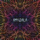 Amygdala (DE/EN)