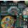 Planet Unknown (DE)