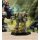 BattleTech: Clan Command Star Reprint (EN)