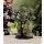 BattleTech: Hansens Roughriders Battle Lance (EN)