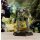 BattleTech: Hansens Roughriders Battle Lance (EN)