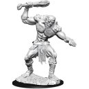 D&D Nolzurs Marvelous Miniatures: Fomorian