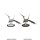 D&D Nolzurs Marvelous Miniatures: W9 Young White Dragon