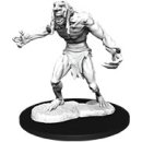 D&D Nolzurs Marvelous Miniatures: W12 Raging Troll