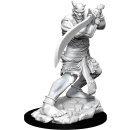 D&D Nolzurs Marvelous Miniatures: W13 Efreeti
