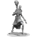 D&D Nolzurs Marvelous Miniatures: W19 Stone Giant