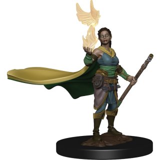 D&D Icons of the Realms: Premium Figures W1 Elf Female Druid
