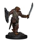 D&D Icons of the Realms: Premium Figures W2...