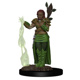 D&D Icons of the Realms: Premium Figures W2 Human Female Druid