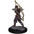 D&D Icons of the Realms: Premium Figures W2 Female...