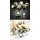 Resin Dice Set (7) Skull