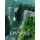 Lost Empires: The Ruins of Sura (EN)