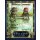 Legendary Beginnings A Feast of Flavor 5E (EN)