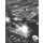 Star Fleet Battles: Captains Log 6 (EN)
