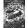 Star Fleet Battles: Kzinti Master Starship Book (EN)