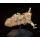 BattleTech Miniatures: Bonaventure Corvette