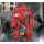BattleTech Miniatures: Yu Huang Y-H9G