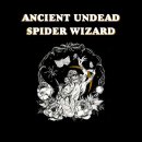 Ancient Undead Spider Wizard RPG (EN)