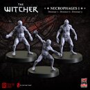 The Witcher RPG: Necrophages 1 - Drowners (3)