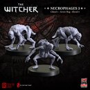 The Witcher RPG: Necrophages 3 - Ghouls and Grave Hag (3)