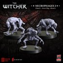 Witcher RPG: Necrophages 3 - Ghouls and Grave Hag (3) (EN)