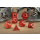 Hollow Wyvern RPG Dice Set Red (7)