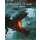 Castles and Crusades RPG: After Winter Dark Monsters & Treasure of Aihrde (EN)